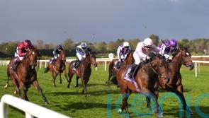 French Derby beckons for A Boy Named Susie