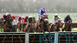 Festival winner White Noise star attraction at Haydock