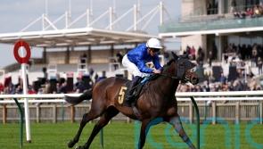 Talk Of New York bolsters Appleby&rsquo;s Guineas hand