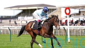 Adaay to remember for Palmer as Scarlett sparks Ascot dreams