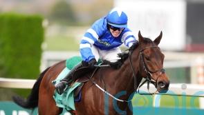 Aintree winner Laafi disqualified for breach of whip rules