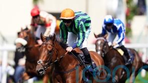 Eustace hoping the Time is right for Sandals to stake claim