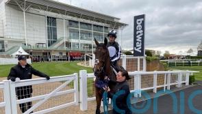 Into The Sky keeps Classic dream alive with pleasing gallop