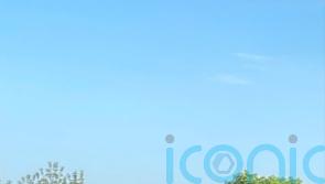 Police name man who died after being hit by alleged stolen car