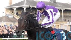 O&rsquo;Brien expecting Hawk Mountain to benefit from Craven run