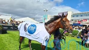 The Lion In Winter makes winning start at Leopardstown
