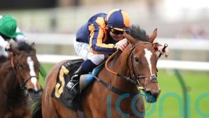 Azleet makes Classic case with 50-1 Nell Gwyn success