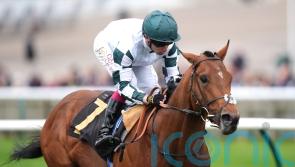 Double Rush creates big impression on first run for Balding