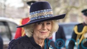 Harriet Harman calls on Queen to meet Epstein survivors during US visit