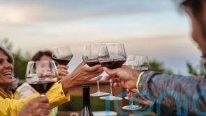 6 robust red wines for spring and summer barbecues