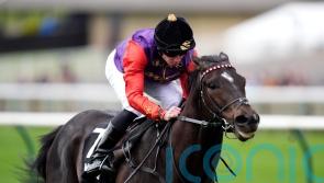 Portcullis makes huge impression in the colours of the King and Queen