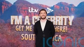 David Haye sometimes forgot he was on TV during I&rsquo;m A Celeb, says Seann Walsh