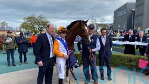 Synchronicity upholds family honour with smooth Newbury debut