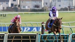 Dedicated Hero takes Scottish Champion Hurdle crown