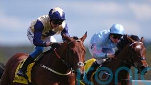 Convergent quality shines through to set up big-race ambitions