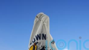 Luton claw back two-goal deficit to share points with Mansfield