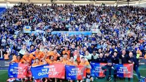 Cardiff promoted after win at Reading and dramatic help from elsewhere