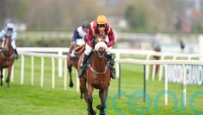 O&rsquo;Shea rules out Punchestown trip for Barton Snow