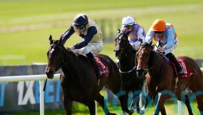 Starford shines to take Alleged Stakes