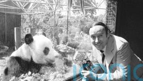 Desmond Morris remembered for &lsquo;lifetime of curiosity and creativity&rsquo;