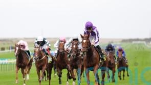 Connections yet to commit to Classic plans with Evolutionist