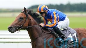 The Lion In Winter pencilled in to lead O&rsquo;Brien Lockinge team