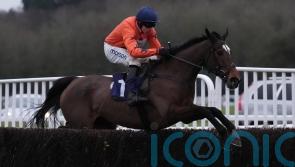 National fancy Panic Attack looking to end season on a high