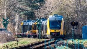 Massive emergency response after two trains collide in Denmark