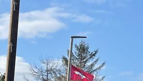 Paratrooper flags in Derry "an insult to the survivors of Bloody Sunday and the victims’ families"