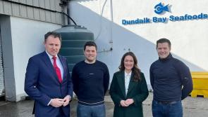 Moves to strengthen Brexit contingencies for coastal communities in Louth welcomed