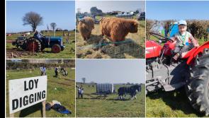 PICTURES | A day for the 99s as thousands flock to sun kissed Longford Ploughing Championships 