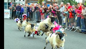 Four-days of  magic and mayhem at Tipperary Village August Festival