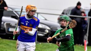 Harty Cup: Another Maher looking to secure place in Thurles GAA folklore this weekend