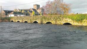 Local Tipperary village Christmas market is a roaring success