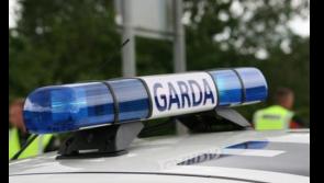 Burglary of business in County Limerick village under investigation