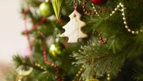 Tipperary community invited to decorate town plaza Christmas tree this Sunday afternoon