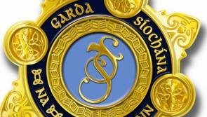 Limerick youth facing assault charges will appear before the Circuit Court 