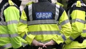 Carlow woman has valuables stolen from car while working in Nursing Home, Gardaí investigate