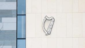 'A very significant animal cruelty case': Limerick farmer faces  173 charges over dead calves
