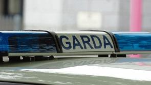 Gardai appeal for witnesses after house shot up in Limerick village