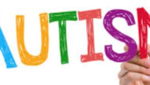 Tipperary TD calls for reinstatement of original autism  summer camp programme
