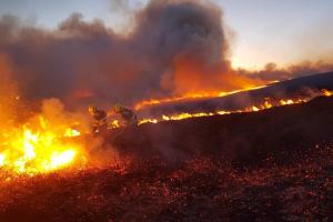 ALERT: 'High risk' orange forest fire warning issued amid warm weather forecast