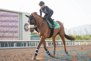 Atzeni hoping stage is set for Giavellotto repeat