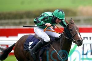 Shark sights set on Cheltenham with Hewick
