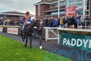 Mister Pessimistic giving De Bromhead cause for optimism