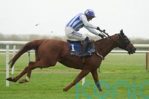 Gaucher could provide rare Newcastle winner for Willie Mullins