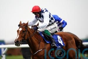 Joseph O’Brien increasingly sweet on Banbridge taking National chance