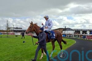 Chasing Paradise could prove Classic material for Murtagh