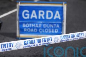 Man dies in hospital following Co Longford crash