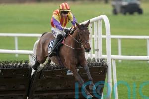 Zanoosh out to extend winning streak in Honeysuckle Hurdle